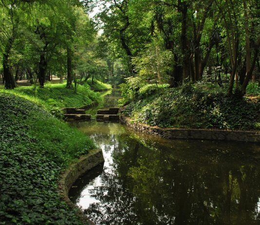 Bosque de Chapultepec gana oro como el mejor parque del mundo